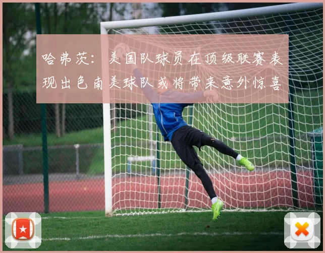 哈弗茨：美国队球员在顶级联赛表现出色南美球队或将带来意外惊喜